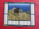 Delcampe - LOT DE 17 CALENDRIERS ALMANACHS De 1982 à 2018 LAVIGNE OBERTHUR OLLER MOISSON, FENAISON, LABOUR, VENDANGE - Grand Format : 1981-90