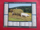 Delcampe - LOT DE 17 CALENDRIERS ALMANACHS De 1982 à 2018 LAVIGNE OBERTHUR OLLER MOISSON, FENAISON, LABOUR, VENDANGE - Tamaño Grande : 1981-90