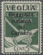 * Fiume: 1920, Freimarke Mit Großem Aufdruck Für Die Insel Veglia. 5 Cent. Grün In - Fiume