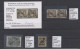 **/o Deutsches Reich - Dienst-Kontrollaufdrucke: 1923, Mecklenburger Notausgaben Post - Dienstzegels