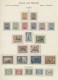 ** Deutsche Abstimmungsgebiete: 1920-1921, Inhaltsreiche Postfrische Sammlung Der A - Other & Unclassified