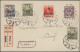 Delcampe - Cover/GA/o/on Piece/**/* Hungary: 1919/1921, Extraordinary And Deeply Specialised Collection In Two Binde - Baranya