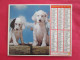 LOT DE 31 CALENDRIERS ALMANACHS De 1982 à 2016  CHIEN, CHAT, POUSSIN LAVIGNE OBERTHUR OLLER - Grand Format : 1981-90