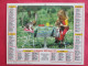 Delcampe - LOT DE 31 CALENDRIERS ALMANACHS De 1982 à 2016  CHIEN, CHAT, POUSSIN LAVIGNE OBERTHUR OLLER - Grand Format : 1981-90