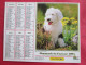 Delcampe - LOT DE 31 CALENDRIERS ALMANACHS De 1982 à 2016  CHIEN, CHAT, POUSSIN LAVIGNE OBERTHUR OLLER - Grand Format : 1981-90