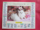 Delcampe - LOT DE 31 CALENDRIERS ALMANACHS De 1982 à 2016  CHIEN, CHAT, POUSSIN LAVIGNE OBERTHUR OLLER - Grand Format : 1981-90