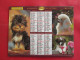 Delcampe - LOT DE 31 CALENDRIERS ALMANACHS De 1982 à 2016  CHIEN, CHAT, POUSSIN LAVIGNE OBERTHUR OLLER - Grand Format : 1981-90