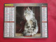 Delcampe - LOT DE 31 CALENDRIERS ALMANACHS De 1982 à 2016  CHIEN, CHAT, POUSSIN LAVIGNE OBERTHUR OLLER - Grand Format : 1981-90