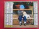 Delcampe - LOT DE 31 CALENDRIERS ALMANACHS De 1982 à 2016  CHIEN, CHAT, POUSSIN LAVIGNE OBERTHUR OLLER - Grand Format : 1981-90