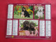 Delcampe - LOT DE 31 CALENDRIERS ALMANACHS De 1982 à 2016  CHIEN, CHAT, POUSSIN LAVIGNE OBERTHUR OLLER - Grand Format : 1981-90