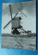 LEUT Maasmechelen Windmolen  Nieuw Leven. Moulin A Vent. - Maasmechelen