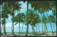 (PAN) CP Photo:Herbert E.Miller-Arbres,palmiers, Puerto Rico's World Renown Luquillo Beach .unused - Puerto Rico