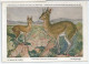 CP : Musée Royal D'histoire Naturelle De Belgique - Mammifères Protégés Au Congo - 13 Le Sauteur Des Rochers (2 Scans) - Colecciones Y Lotes