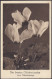 Delcampe - Action !! SALE !! 50 % ⁕ Austria / Germany ⁕ Flowers - Herzliche Glückwünsche Zum Namenstage ⁕ 11 Unused Postcard - Scan - Sammlungen & Sammellose