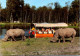 1-11-2023 (1 V 2) France - Zoo De Saint Sevrain (safari Bateau) Rhinoceros - Rhinozeros