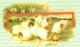 517  Pâques Poulettes Oeufs Perce-neige: PAP Roumanie, 1999 - Easter Stationery Cover: Chicken Eggs Snowdrops. Poussin - Easter