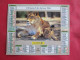 CALENDRIER ALMANACH 1994 LIONS TIGRES OBERTHUR - Tamaño Grande : 1991-00