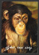 Animaux & Faune > Singes - SALUT VIEUX SINGE - Par Collection Du Club Made In France  -  No: 8040 - Singes