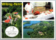 Feldberger Seenlandschaft Feldberg - Waldpension Restaurant Stieglitzenkrug - Feldberg In Mecklenburg - Feldberg