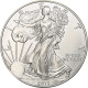 États-Unis, 1 Dollar, 1 Oz, 2013, Philadelphie, Argent, SPL, KM:273 - Argent