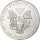 États-Unis, 1 Dollar, 1 Oz, 2013, Philadelphie, Argent, SPL, KM:273 - Zilver