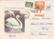 ANIMALS, BIRDS, MUTE SWAN, REGISTERED COVER STATIONERY, FINE STAMPS, 1977, ROMANIA - Cisnes