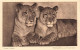 ANIMAUX - Junge Löwen - Tierfudien AJW  De Veer - Carte Postale Ancienne - Leones