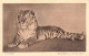 ANIMAUX - Sundafiger - Tierfudien AJW  De Veer - Carte Postale Ancienne - Tigri
