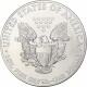 États-Unis, 1 Dollar, 1 Oz, 2014, Philadelphie, Argent, SPL, KM:273 - Zilver