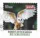 827  Chouette Effraie: Timbre De Entreprise Postale Privé. Allemagne 2016 - Barn Owl Postmodern Private Post. Hibou - Hiboux & Chouettes