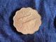 Münze Münzen Umlaufmünze Bahamas 10 Cent 1966 - Bahamas