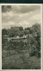 HAMBURG / STELLINGEN - CARL HAGENBECK'S TIERPARK - BIRMANISCHE INSEL - 1930s - EXCELLENT CONDITION (16873) - Stellingen