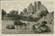 HAMBURG / STELLINGEN - CARL HAGENBECK'S TIERPARK - HEUFRESSER GEHEGE - ZEBRAS GNUS U. DROMEDARE -  1930s (16887) - Stellingen