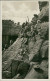 HAMBURG / STELLINGEN - CARL HAGENBECK'S TIERPARK - AFFENFELSEN : MANTELPAVIANE - 1930s (16897) - Stellingen