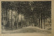 Bussum // Lindelaan 1917 - Bussum