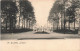 BELGIQUE - Bruxelles - Vue Sur Le Parc - Carte Postale Ancienne - Foreste, Parchi, Giardini