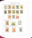 Delcampe - COLLEZIONE DELLA CECOSLOVACCHIA DAL 1918 AL 1985 SU 5 ALBUM USATI / G.I MNH** - Collections, Lots & Series