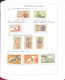 Delcampe - COLLEZIONE DELLA CECOSLOVACCHIA DAL 1918 AL 1985 SU 5 ALBUM USATI / G.I MNH** - Collections, Lots & Series