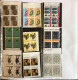 Delcampe - COLLEZIONE DI VATICANO E SAN MARINO IN QUARTINE ANNI 60 G.I MNH** - Collections, Lots & Series