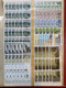 Delcampe - SAN MARINO RACCOLTA COLLEZIONE 1971 - 2006 ALTO VALORE FACCIALE 1944€ G.I MNH** - Lots & Serien