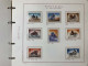 Delcampe - SAN MARINO COLLEZIONE DAL 1959 AL 2009 SU 4 ALBUM ROSSI G.I MNH** - Collections, Lots & Séries