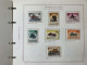 Delcampe - SAN MARINO COLLEZIONE DAL 1959 AL 2009 SU 4 ALBUM ROSSI G.I MNH** - Collections, Lots & Series