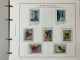 Delcampe - SAN MARINO COLLEZIONE DAL 1959 AL 2009 SU 4 ALBUM ROSSI G.I MNH** - Lots & Serien