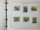 Delcampe - SAN MARINO COLLEZIONE DAL 1959 AL 2009 SU 4 ALBUM ROSSI G.I MNH** - Collections, Lots & Series