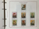 Delcampe - SAN MARINO COLLEZIONE DAL 1959 AL 2009 SU 4 ALBUM ROSSI G.I MNH** - Lots & Serien