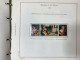 Delcampe - SAN MARINO COLLEZIONE DAL 1959 AL 2009 CON FOGLIETTI SU 4 ALBUM ROSSI G.I MNH** - Collections, Lots & Series