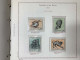 Delcampe - SAN MARINO COLLEZIONE DAL 1959 AL 2009 CON FOGLIETTI SU 4 ALBUM ROSSI G.I MNH** - Collections, Lots & Series