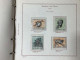 Delcampe - SAN MARINO COLLEZIONE DAL 1959 AL 2009 CON FOGLIETTI SU 4 ALBUM ROSSI G.I MNH** - Collezioni & Lotti