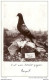 14/18 ... VERDUN ..-- MILITARIA . Dernier Pigeon Du Commandant RAYNAL , Fort De VAUX . 04.06.1916 . - Verdun