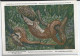 CP : Musée Royal D'histoire Naturelle De Belgique - Mammifères Protégés Au Congo- 35 Le Pangolin Africain ... (2scans) - Collections & Lots